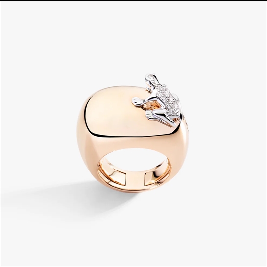 Dada Arrigoni - DHF07ANAKRNZB