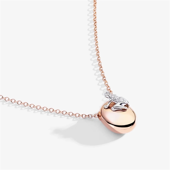 Dada Arrigoni - DHF07ANABRRDI