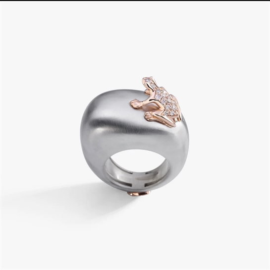 Dada Arrigoni - DHF07ANAKRNZB