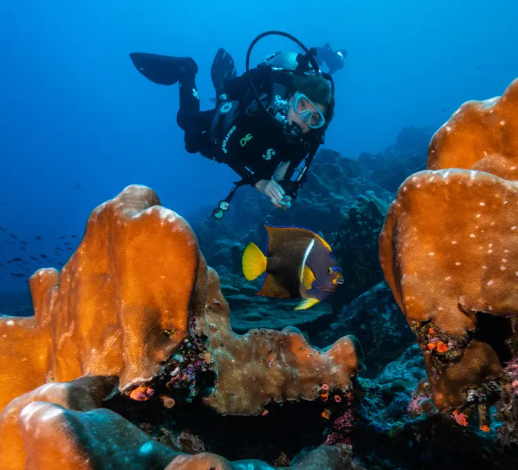 Cittadino degli abissi - Per i cittadini del mondo