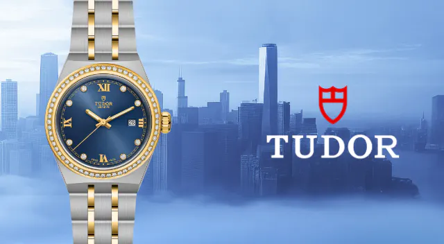 Rivenditore autorizzato Tudor Pavia