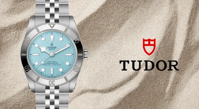 Rivenditore autorizzato Tudor Pavia