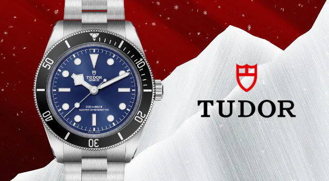 Rivenditore autorizzato Tudor Pavia