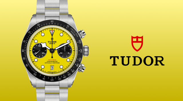 Rivenditore autorizzato Tudor Pavia