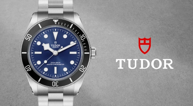 Rivenditore autorizzato Tudor Pavia