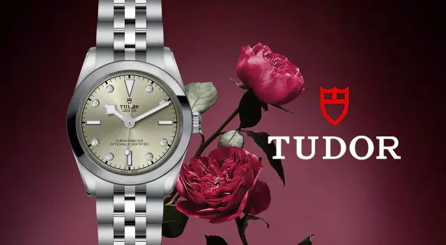 Rivenditore autorizzato Tudor Pavia