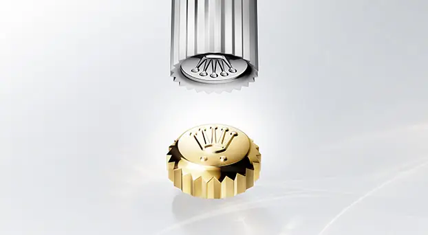 Rivenditore autorizzato Rolex Pavia