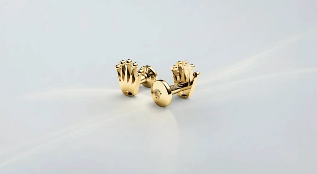 Rivenditore autorizzato Accessori Rolex Pavia