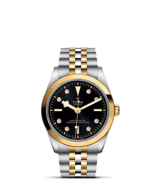 TUDOR Black Bay 36 S&G