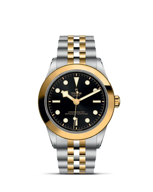 TUDOR Black Bay 39 S&G